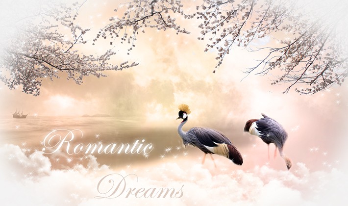 Romantic dreams